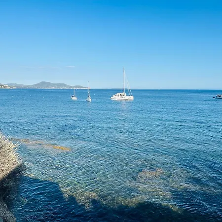 Lejlighed Grand Avec Balcon Mourillon Plages *