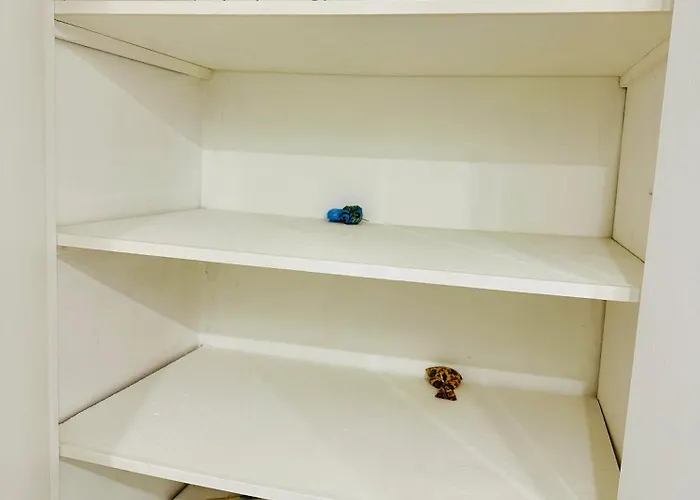 Grand Avec Balcon Mourillon Plages דירה *